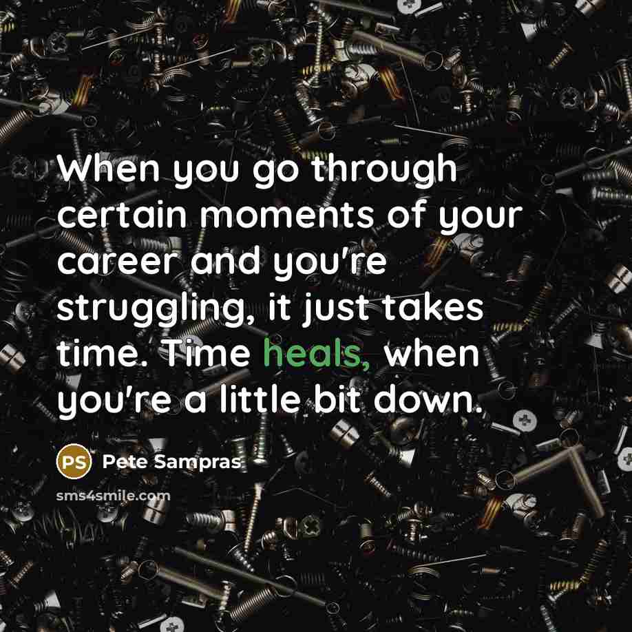 “When you go through certain moments of your career and you're struggling, it just takes time. Time heals, when you're a little bit down.” quote by Pete Sampras