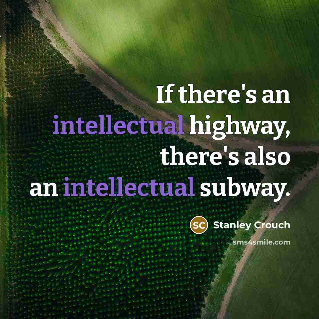 “If there's an intellectual highway, there's also an intellectual subway.” quote by Stanley Crouch