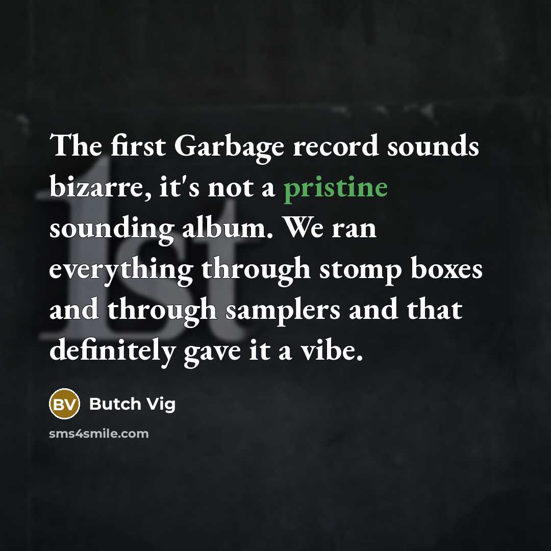 “The first Garbage record sounds bizarre, it's not a pristine sounding album. We ran everything through stomp boxes and through samplers and that definitely gave it a vibe.” quote by Butch Vig