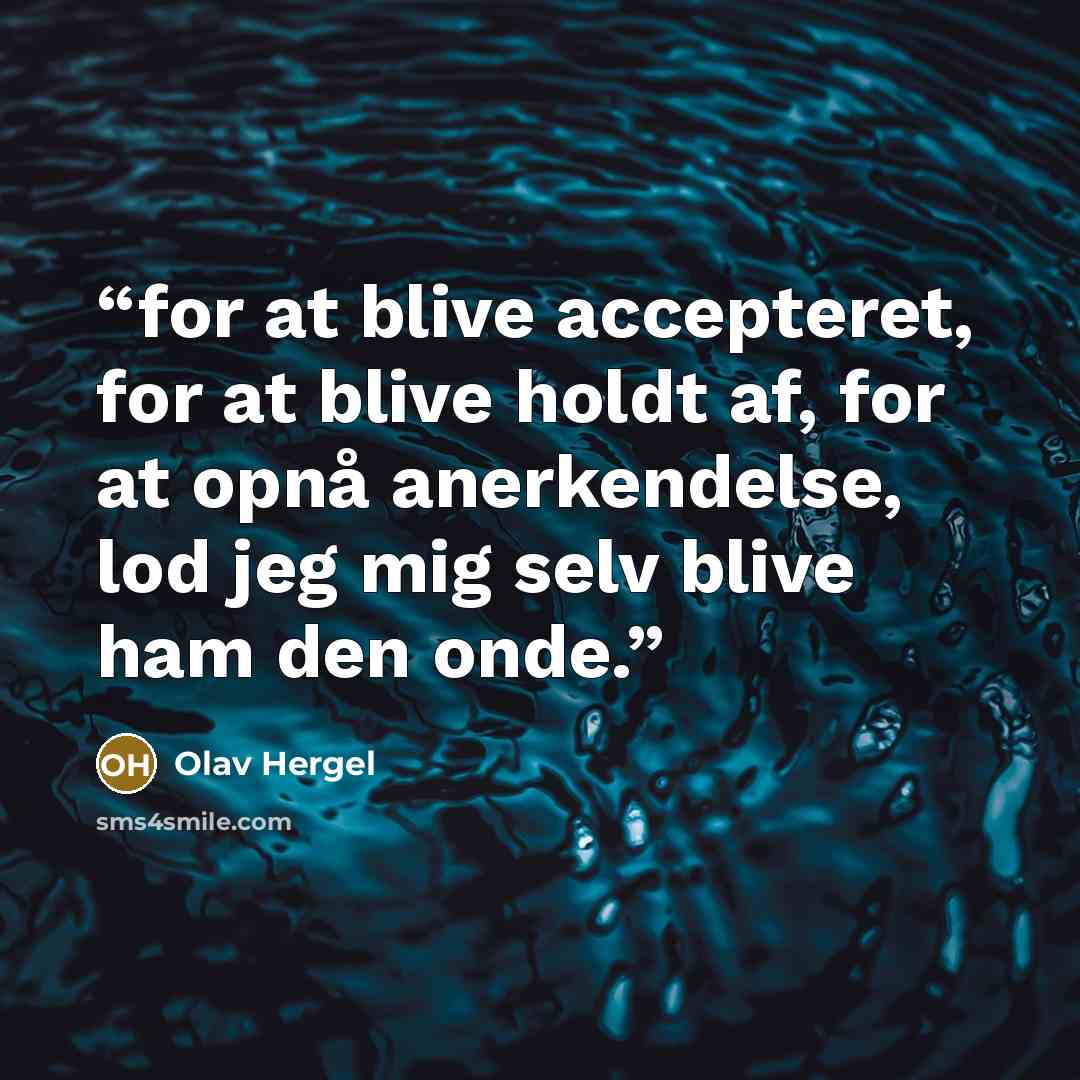 “for at blive accepteret, for at blive holdt af, for at opnå anerkendelse, lod jeg mig selv blive ham den onde.” quote by Olav Hergel