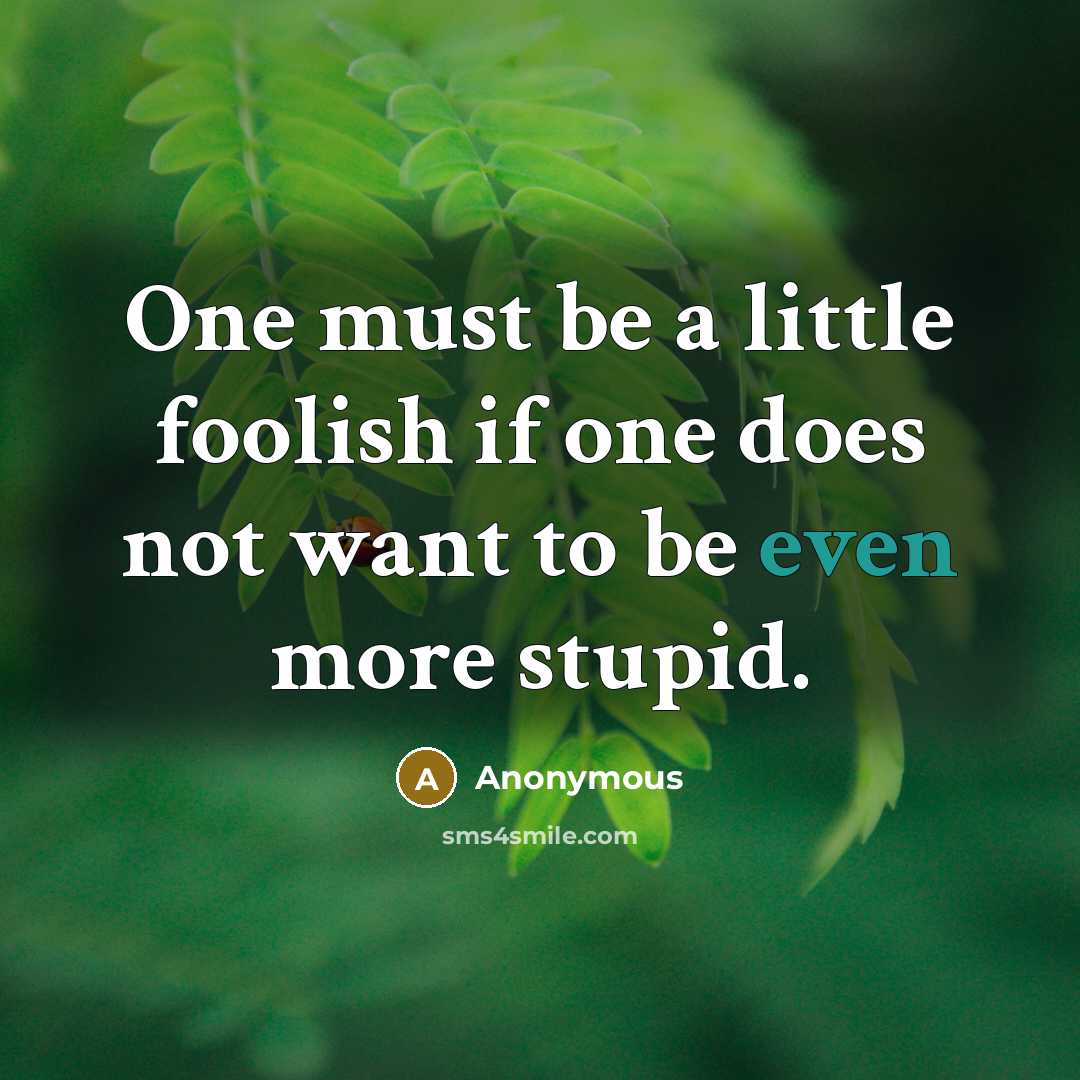 “One must be a little foolish if one does not want to be even more stupid.” quote by Anonymous