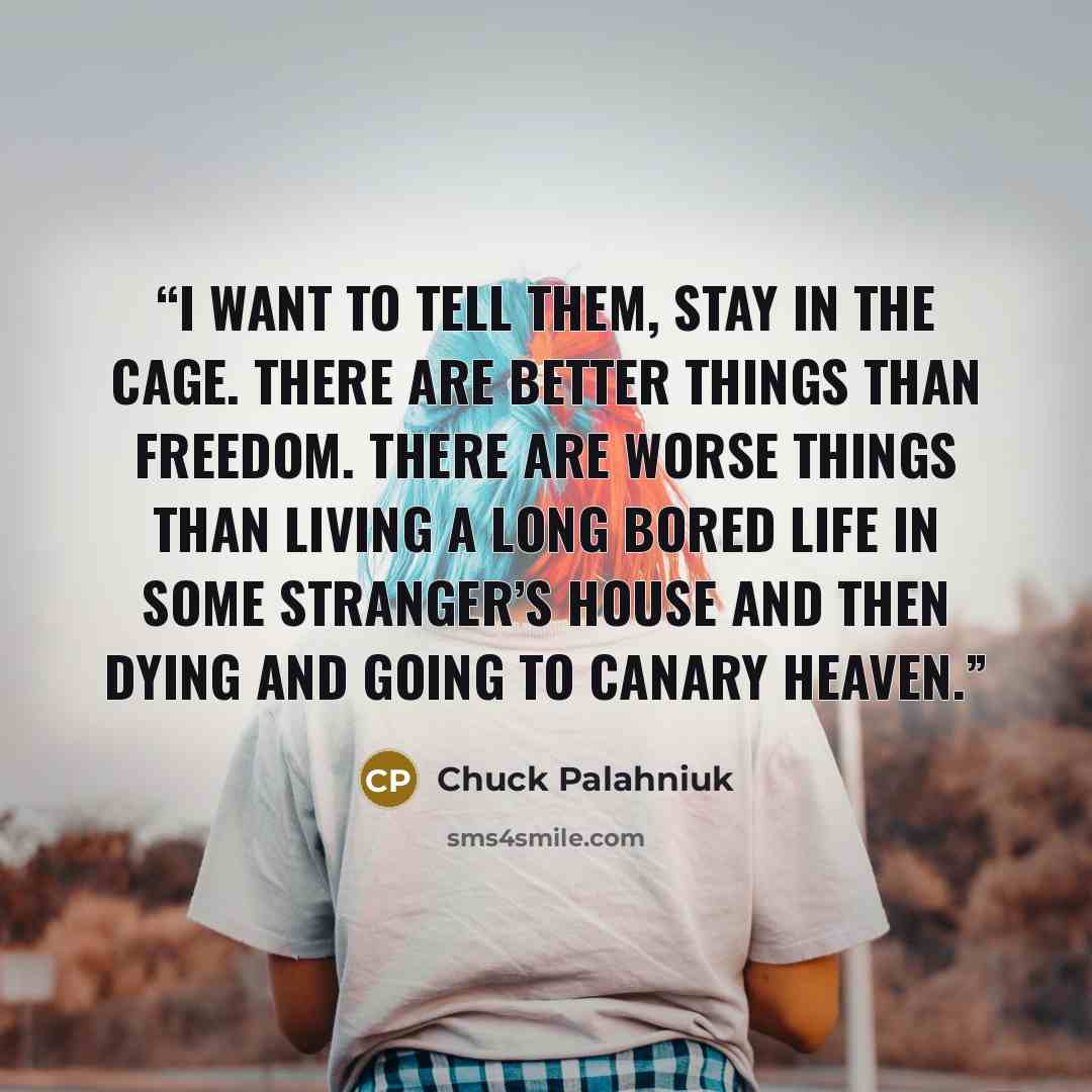 “I want to tell them, stay in the cage. There are bet­ter things than free­dom. There are worse things than liv­ing a long bored life in some stranger’s house and then dy­ing and go­ing to ca­nary heav­en.” quote by Chuck Palahniuk