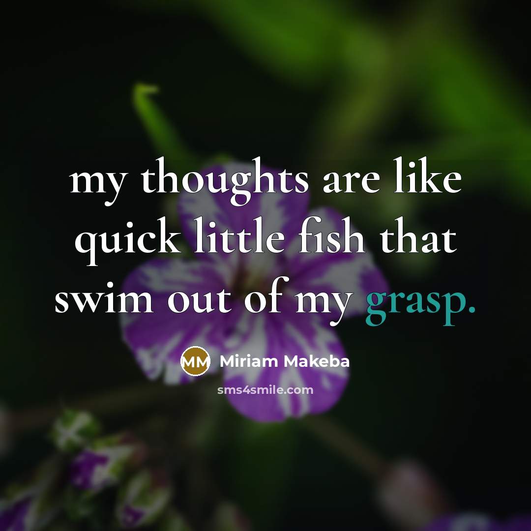 “my thoughts are like quick little fish that swim out of my grasp.” quote by Miriam Makeba