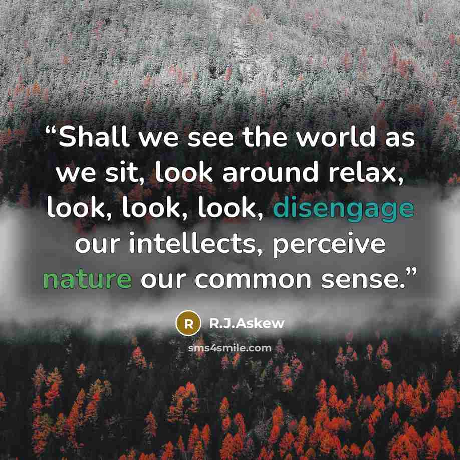 “Shall we see the world as we sit, look around relax, look, look, look, disengage our intellects, perceive nature our common sense.” quote by R.J.Askew