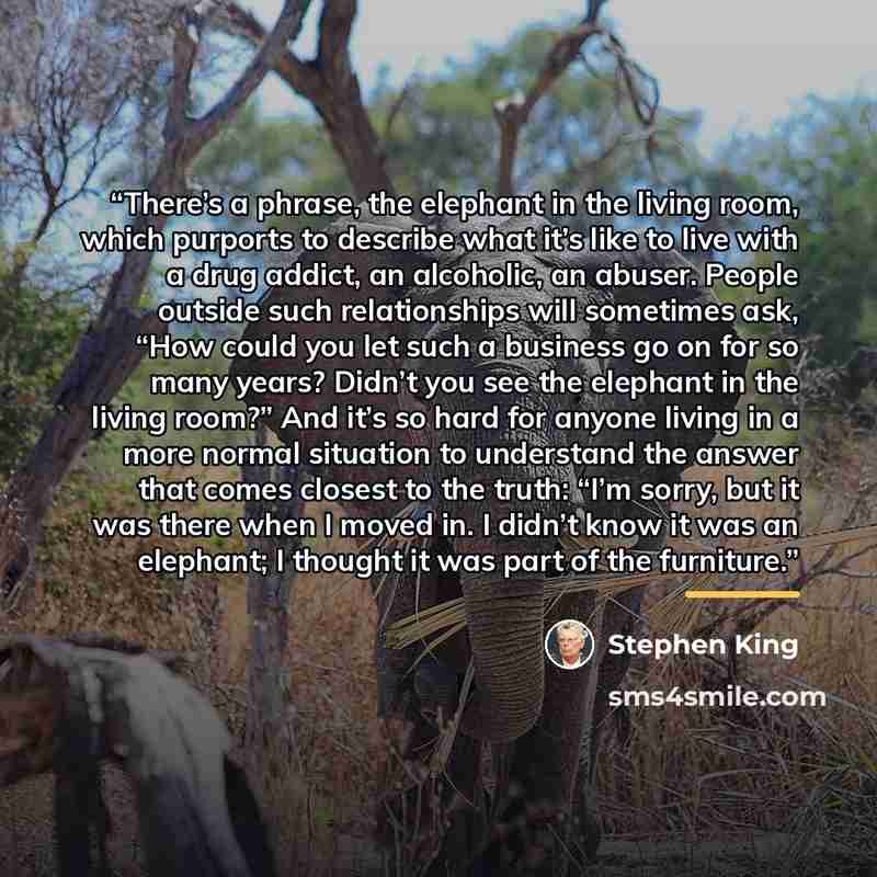 “There’s a phrase, the elephant in the living room, which purports to describe what it’s like to live with a drug addict, an alcoholic, an abuser. People outside such relationships will sometimes ask, “How could you let such a business go on for so many years? Didn’t you see the elephant in the…” quote by Stephen King