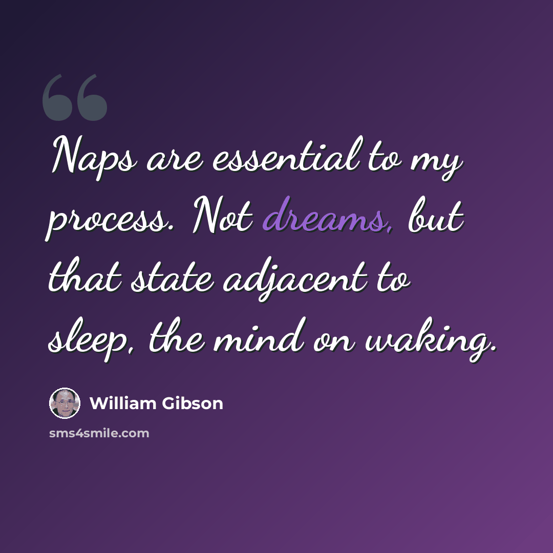 “Naps are essential to my process. Not dreams, but that state adjacent to sleep, the mind on waking.” quote by William Gibson