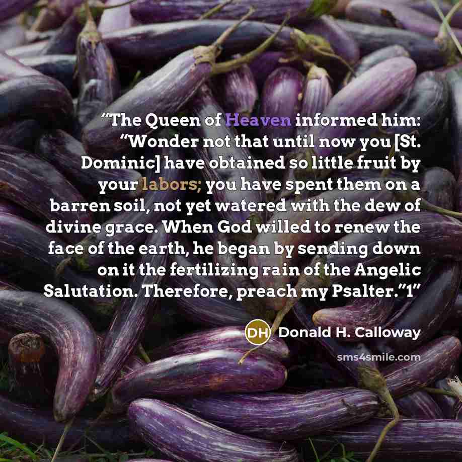 “The Queen of Heaven informed him: “Wonder not that until now you [St. Dominic] have obtained so little fruit by your labors; you have spent them on a barren soil, not yet watered with the dew of divine grace. When God willed to renew the face of the earth, he began by sending down on it the…” quote by Donald H. Calloway