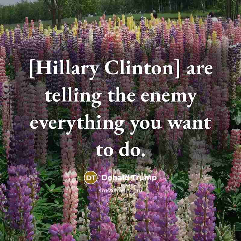 “[Hillary Clinton] are telling the enemy everything you want to do.” quote by Donald Trump