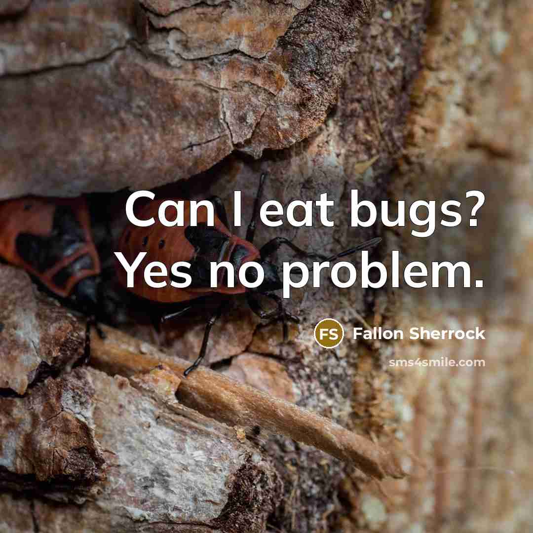 “Can I eat bugs? Yes no problem.” quote by Fallon Sherrock