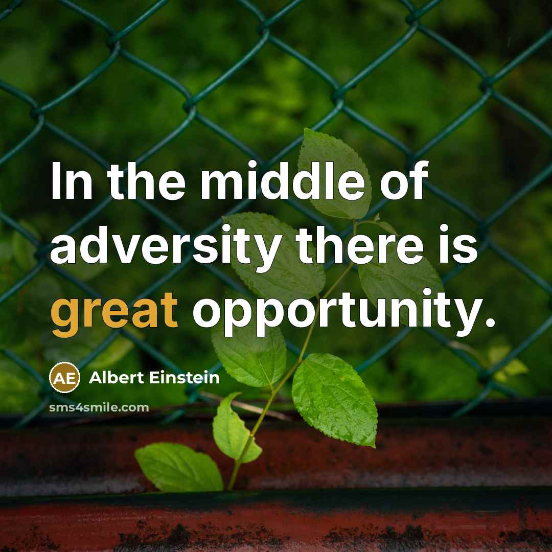 “In the middle of adversity there is great opportunity.” quote by Albert Einstein