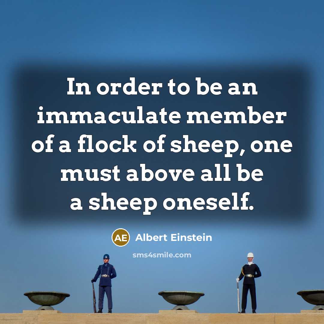 “In order to be an immaculate member of a flock of sheep, one must above all be a sheep oneself.” quote by Albert Einstein