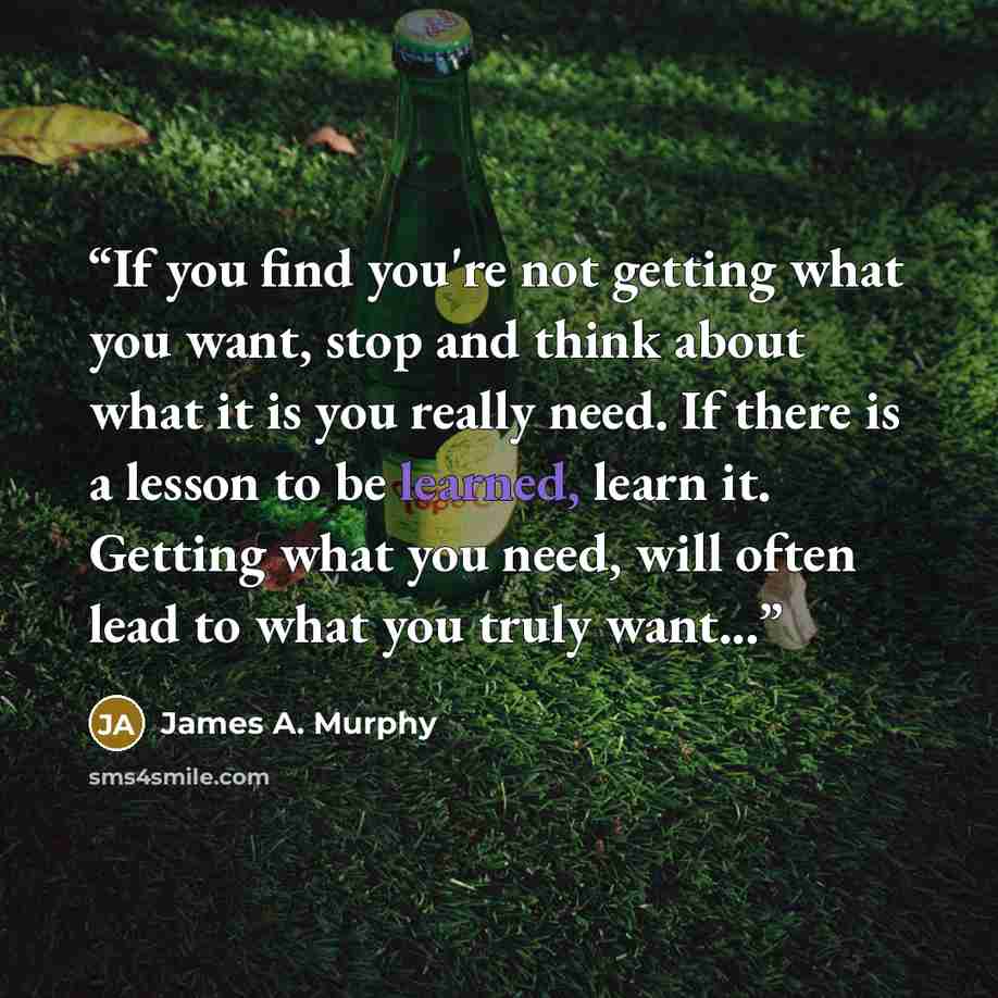“If you find you're not getting what you want, stop and think about what it is you really need. If there is a lesson to be learned, learn it. Getting what you need, will often lead to what you truly want...” quote by James A. Murphy