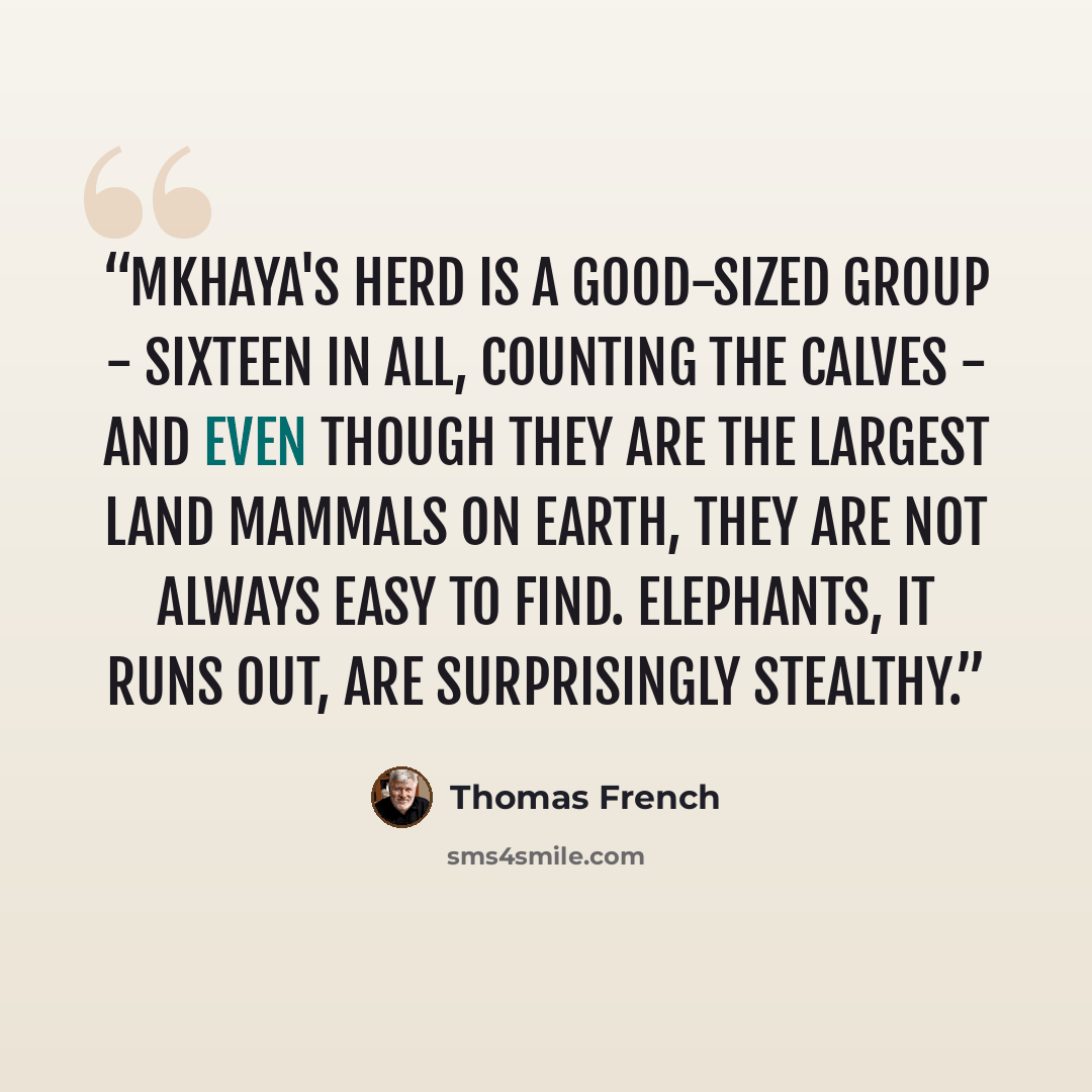 “Mkhaya's herd is a good-sized group - sixteen in all, counting the calves - and even though they are the largest land mammals on earth, they are not always easy to find. Elephants, it runs out, are surprisingly stealthy.” quote by Thomas French
