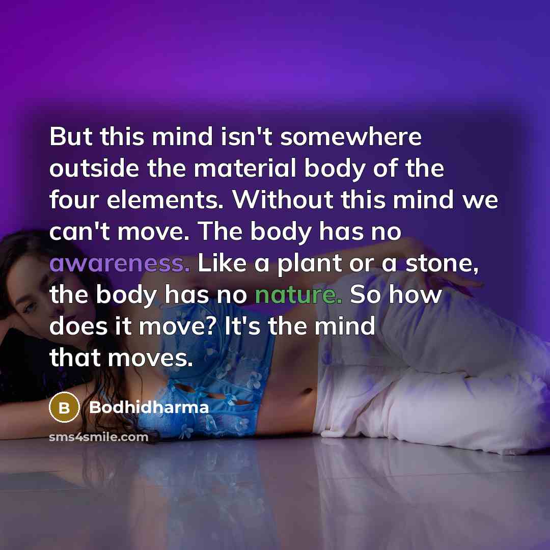“But this mind isn't somewhere outside the material body of the four elements. Without this mind we can't move. The body has no awareness. Like a plant or a stone, the body has no nature. So how does it move? It's the mind that moves.” quote by Bodhidharma
