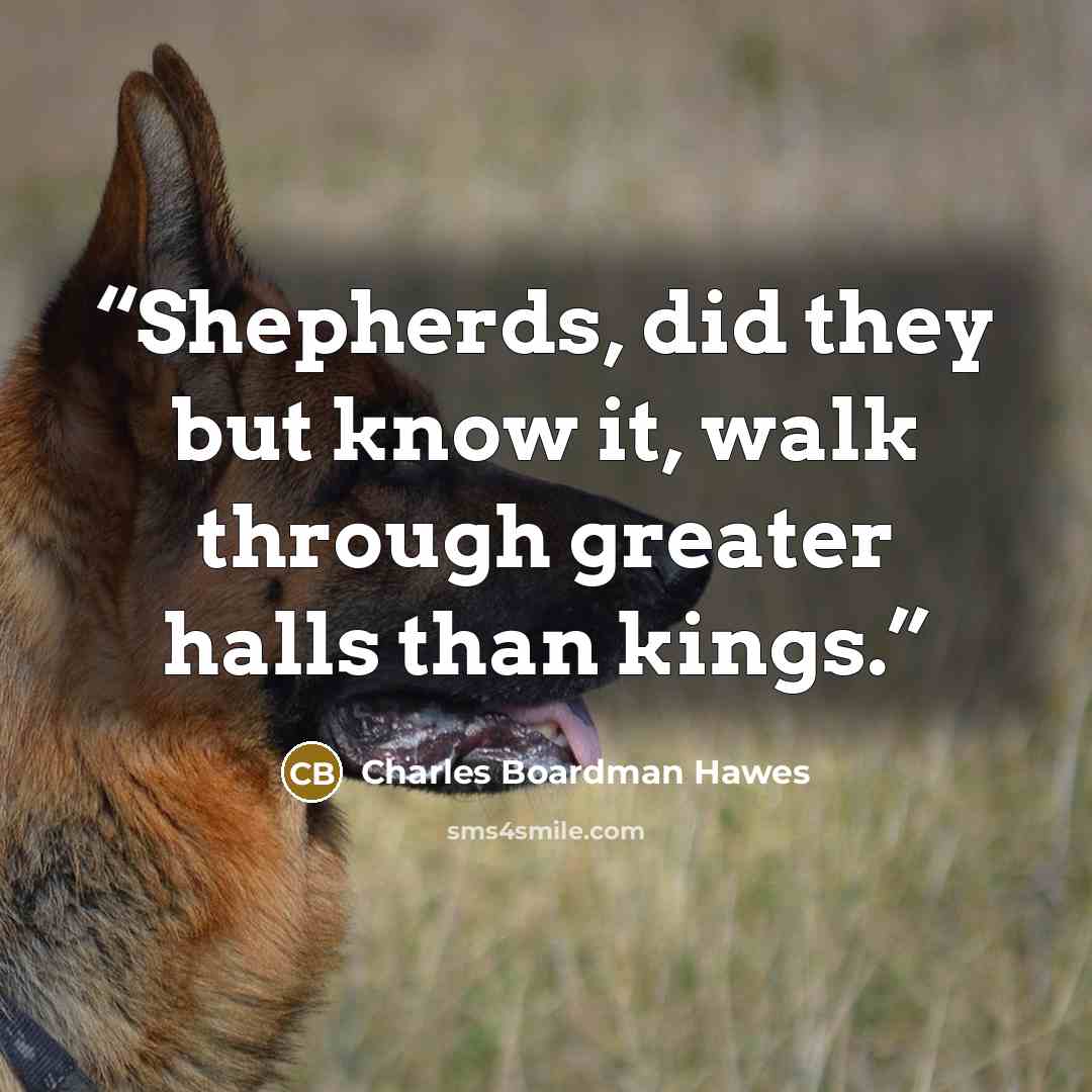 “Shepherds, did they but know it, walk through greater halls than kings.” quote by Charles Boardman Hawes