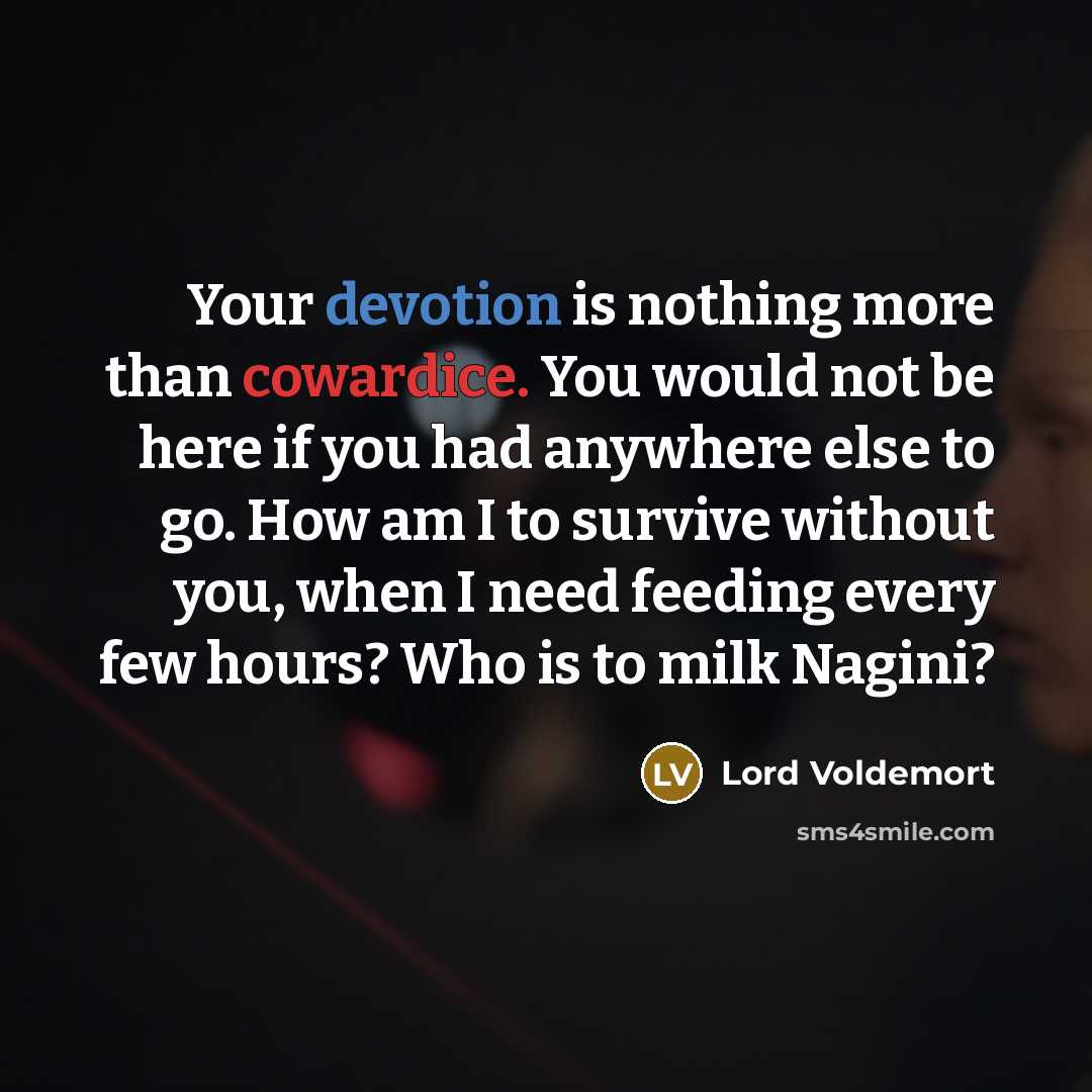 “Your devotion is nothing more than cowardice. You would not be here if you had anywhere else to go. How am I to survive without you, when I need feeding every few hours? Who is to milk Nagini?” quote by Lord Voldemort