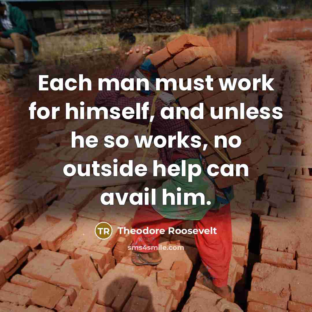 “Each man must work for himself, and unless he so works, no outside help can avail him.” quote by Theodore Roosevelt