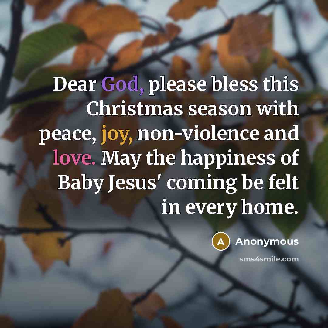 “Dear God, please bless this Christmas season with peace, joy, non-violence and love. May the happiness of Baby Jesus' coming be felt in every home.” quote by Anonymous