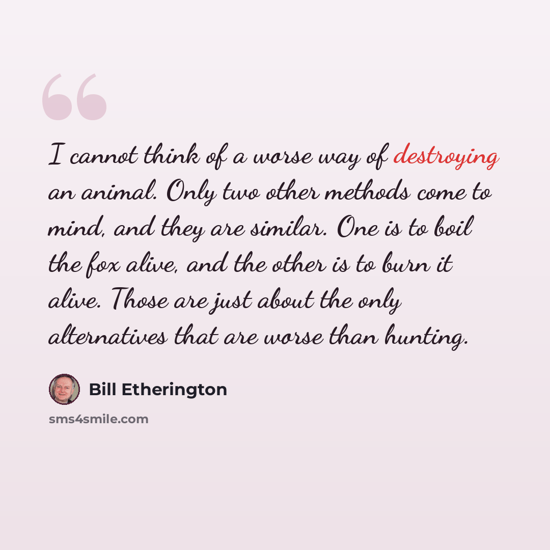 “I cannot think of a worse way of destroying an animal. Only two other methods come to mind, and they are similar. One is to boil the fox alive, and the other is to burn it alive. Those are just about the only alternatives that are worse than hunting.” quote by Bill Etherington