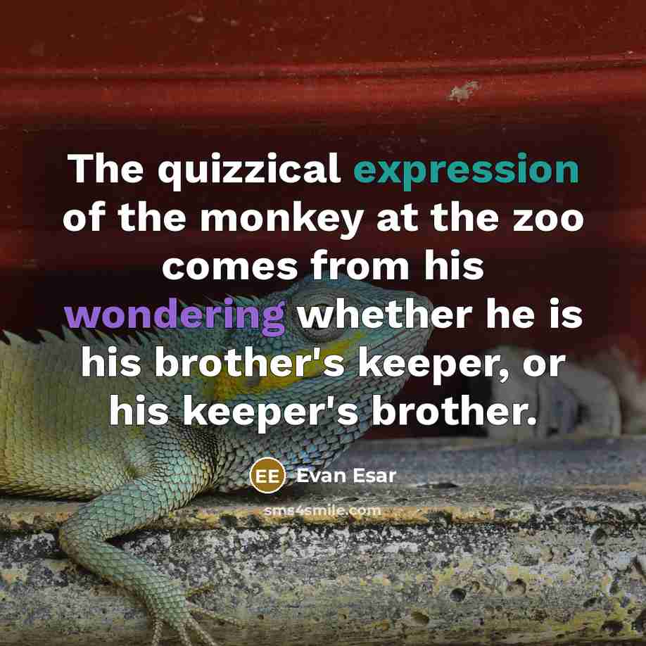 “The quizzical expression of the monkey at the zoo comes from his wondering whether he is his brother's keeper, or his keeper's brother.” quote by Evan Esar