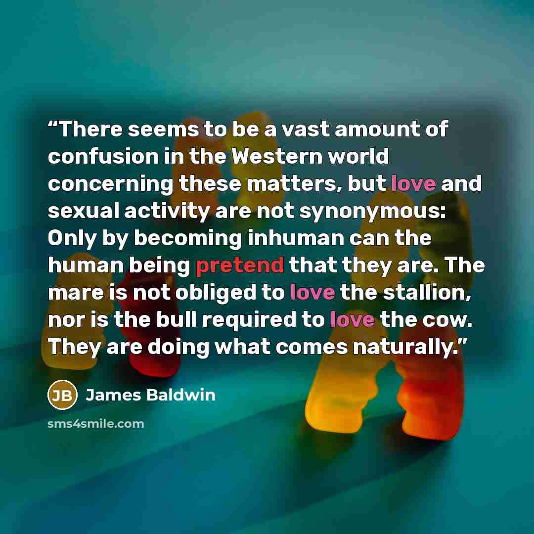 “There seems to be a vast amount of confusion in the Western world concerning these matters, but love and sexual activity are not synonymous: Only by becoming inhuman can the human being pretend that they are. The mare is not obliged to love the stallion, nor is the bull required to love the cow…” quote by James Baldwin