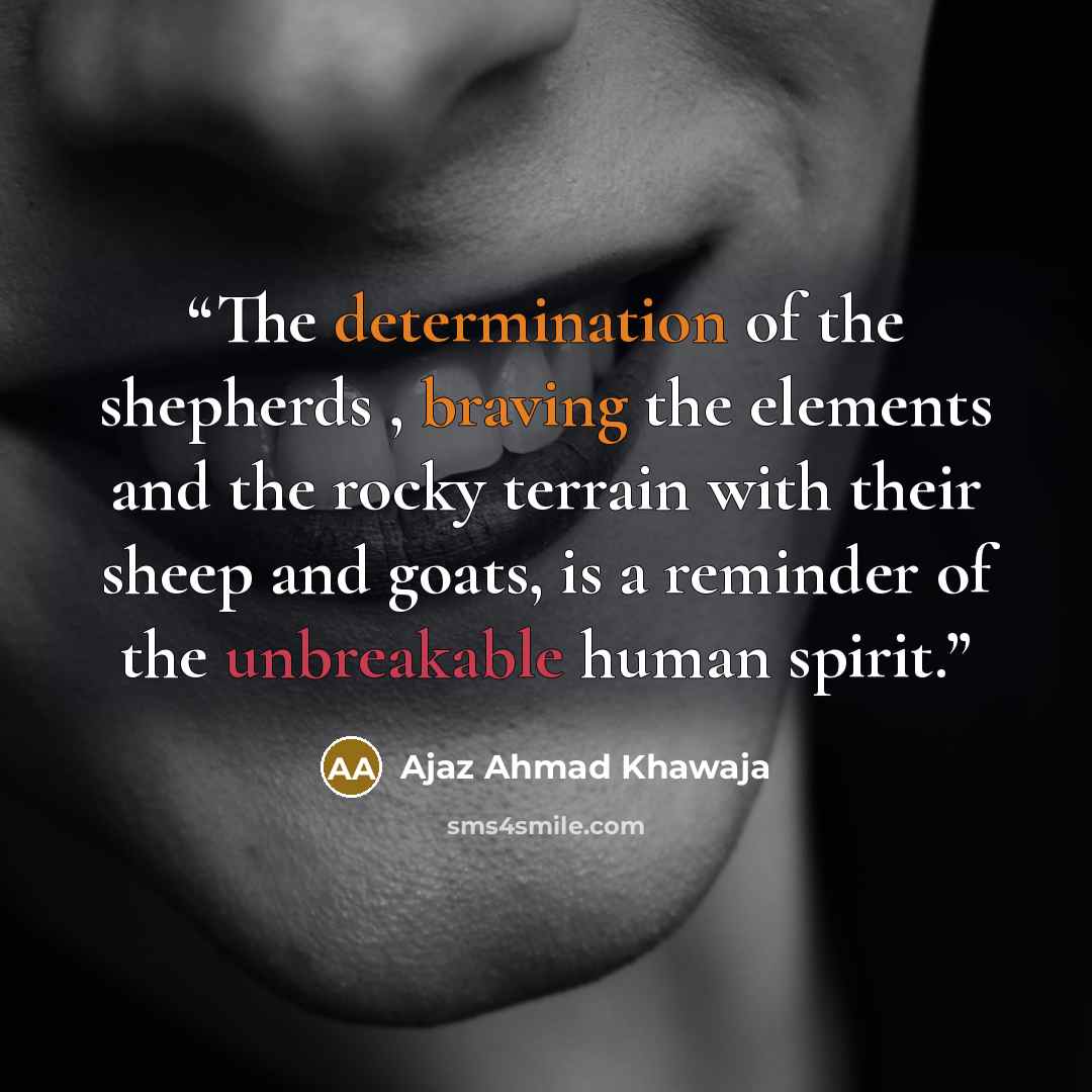 “The determination of the shepherds , braving the elements and the rocky terrain with their sheep and goats, is a reminder of the unbreakable human spirit.” quote by Ajaz Ahmad Khawaja