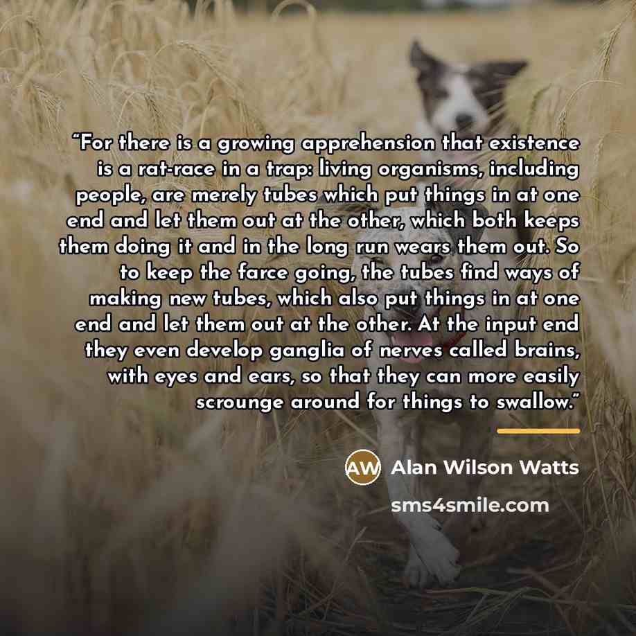 “For there is a growing apprehension that existence is a rat-race in a trap: living organisms, including people, are merely tubes which put things in at one end and let them out at the other, which both keeps them doing it and in the long run wears them out. So to keep the farce going, the tubes…” quote by Alan Wilson Watts