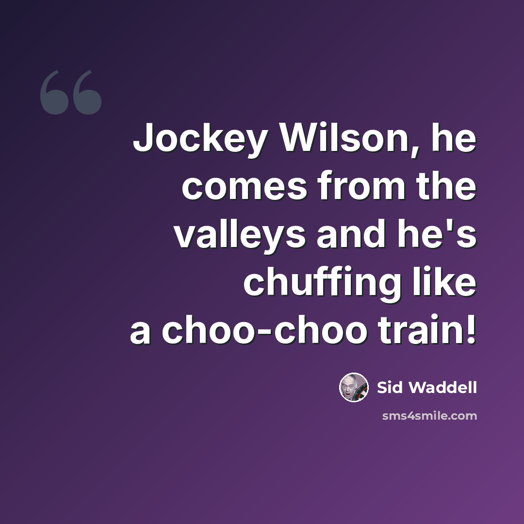 “Jockey Wilson, he comes from the valleys and he's chuffing like a choo-choo train!” quote by Sid Waddell