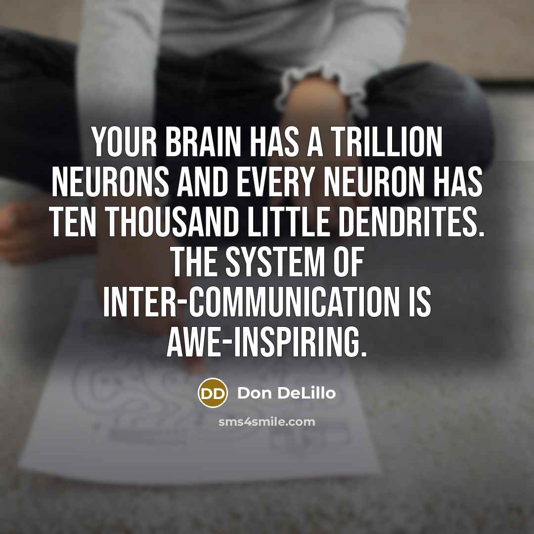 “Your brain has a trillion neurons and every neuron has ten thousand little dendrites. The system of inter-communication is awe-inspiring.” quote by Don DeLillo