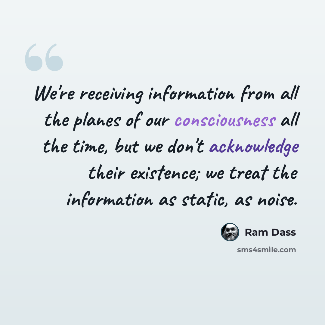 “We're receiving information from all the planes of our consciousness all the time, but we don't acknowledge their existence; we treat the information as static, as noise.” quote by Ram Dass