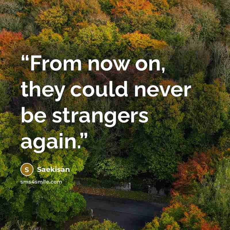 “From now on, they could never be strangers again.” quote by Saekisan