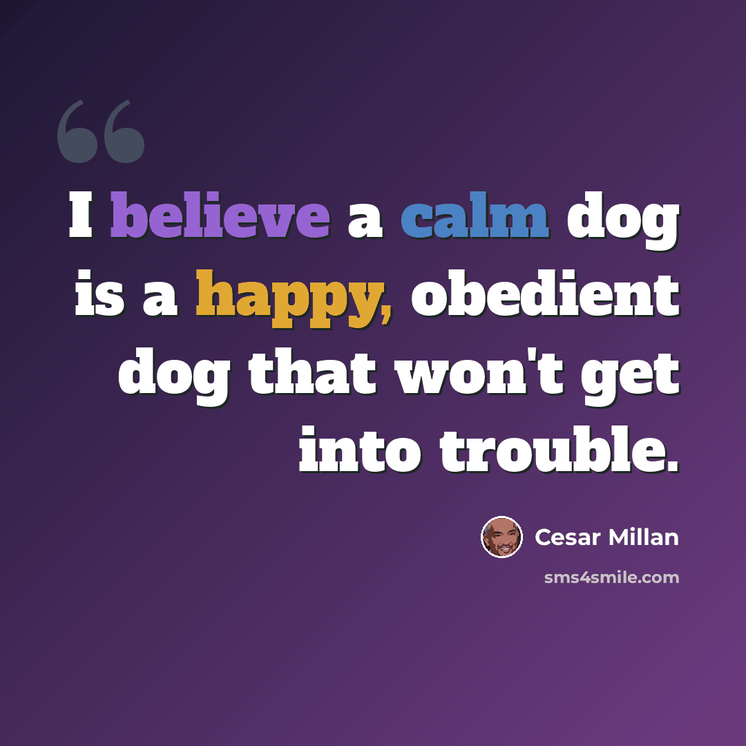 “I believe a calm dog is a happy, obedient dog that won't get into trouble.” quote by Cesar Millan