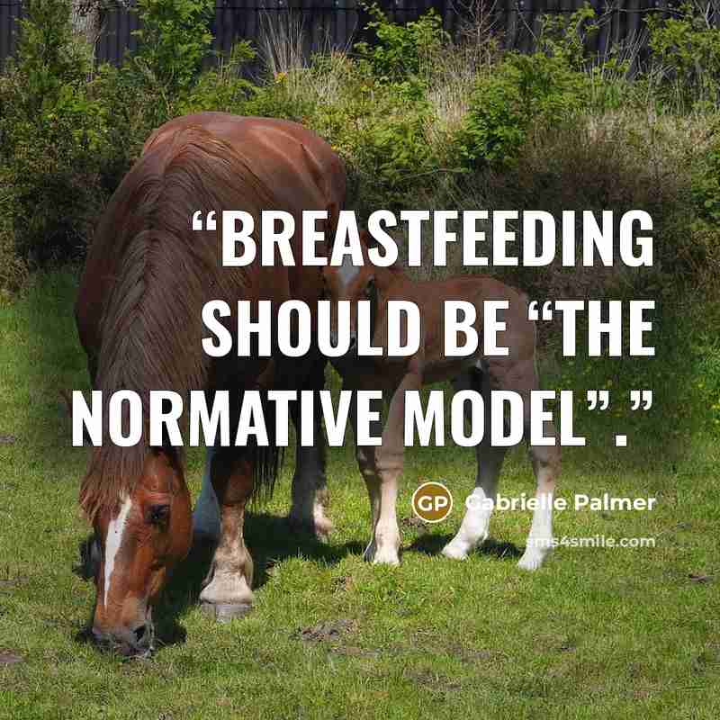“breastfeeding should be “the normative model”.” quote by Gabrielle Palmer