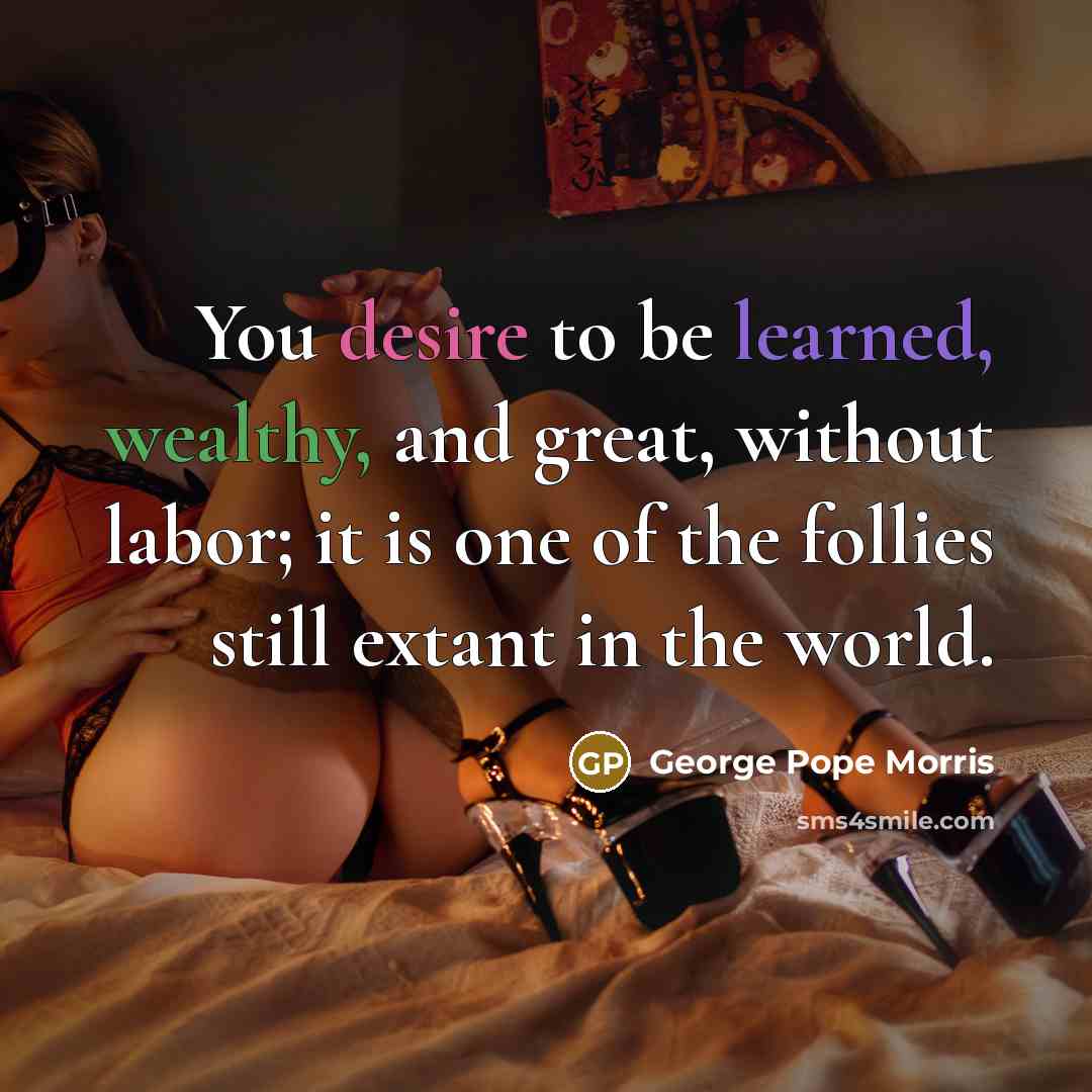 “You desire to be learned, wealthy, and great, without labor; it is one of the follies still extant in the world.” quote by George Pope Morris