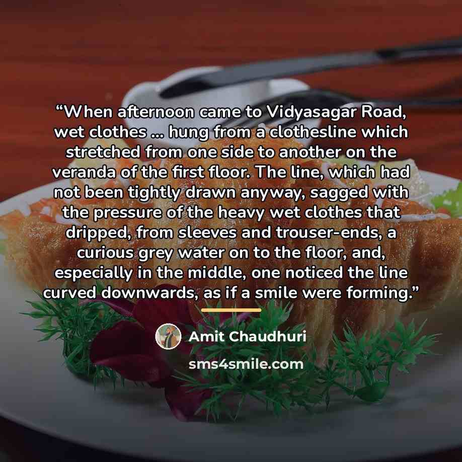 “When afternoon came to Vidyasagar Road, wet clothes ... hung from a clothesline which stretched from one side to another on the veranda of the first floor. The line, which had not been tightly drawn anyway, sagged with the pressure of the heavy wet clothes that dripped, from sleeves and…” quote by Amit Chaudhuri