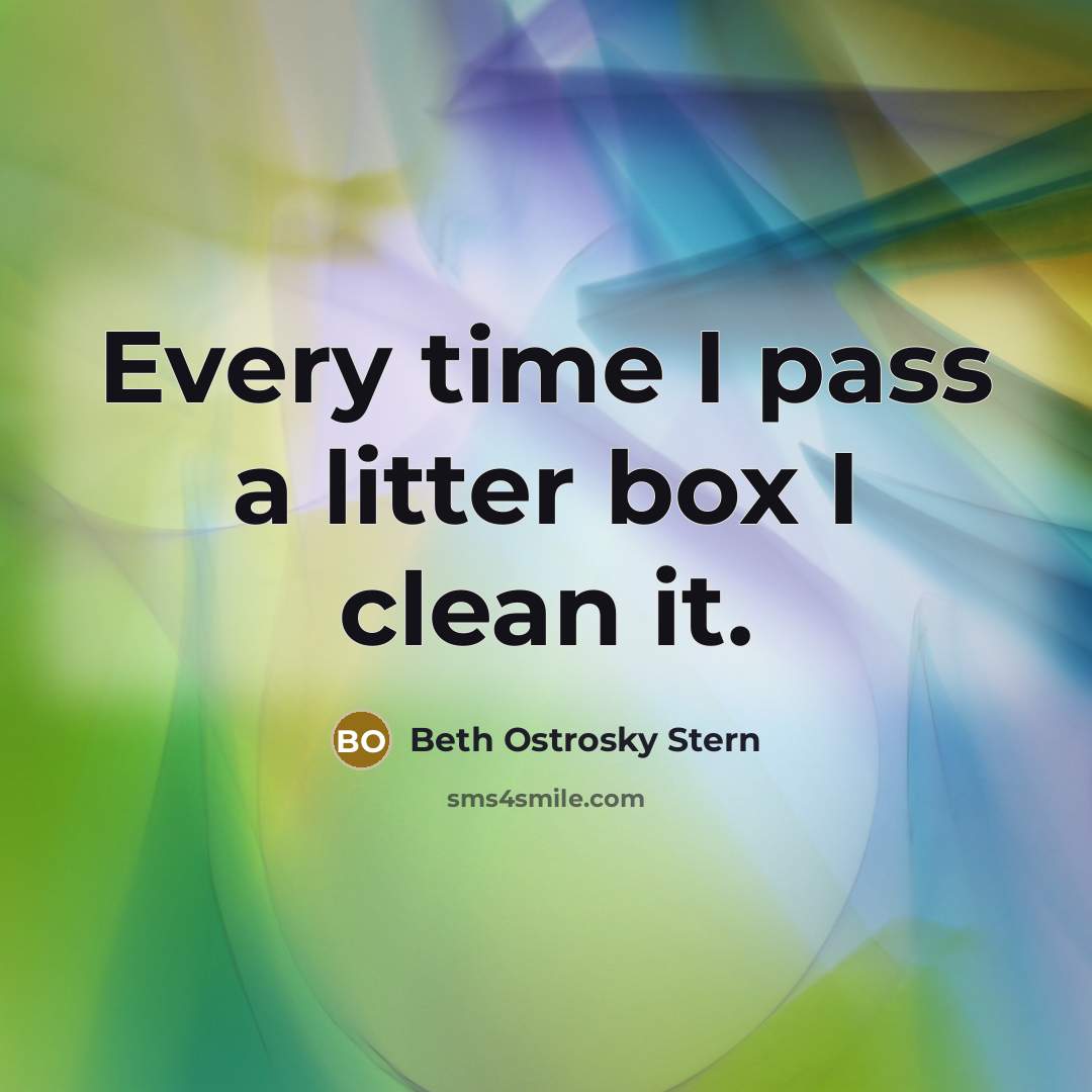 “Every time I pass a litter box I clean it.” quote by Beth Ostrosky Stern