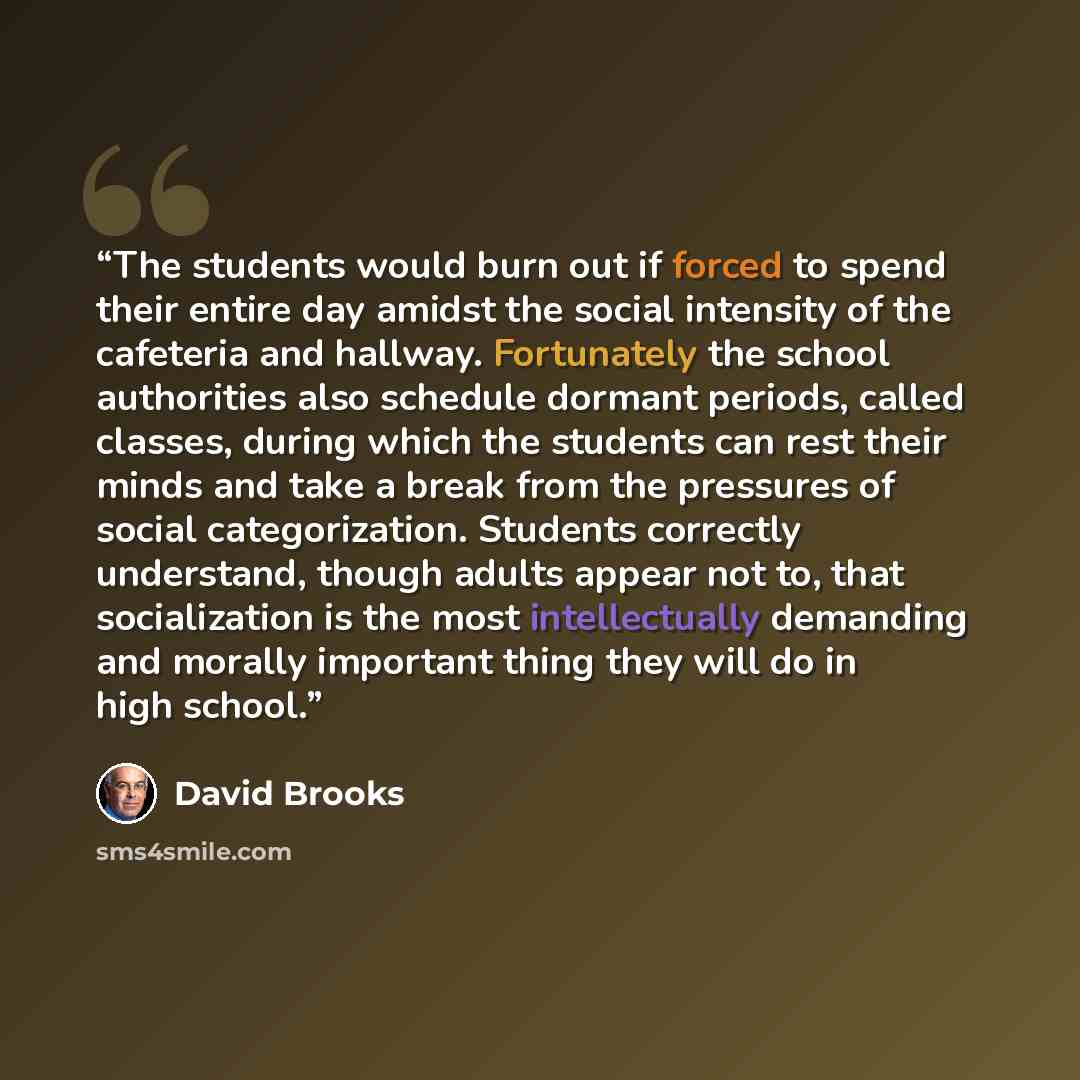“The students would burn out if forced to spend their entire day amidst the social intensity of the cafeteria and hallway. Fortunately the school authorities also schedule dormant periods, called classes, during which the students can rest their minds and take a break from the pressures of social…” quote by David Brooks