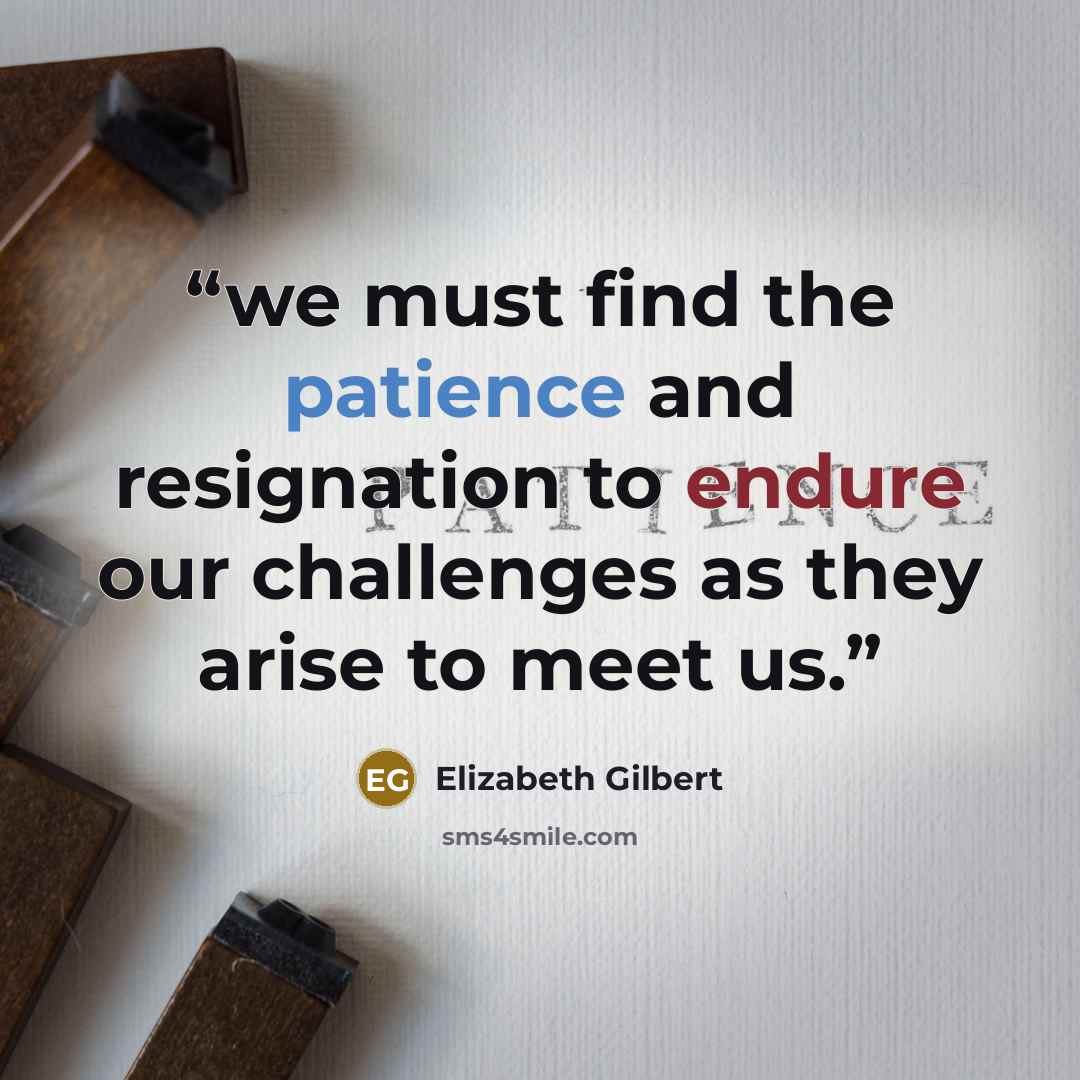 “we must find the patience and resignation to endure our challenges as they arise to meet us.” quote by Elizabeth Gilbert