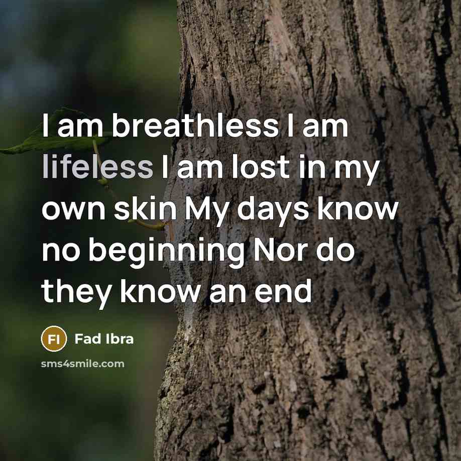 “I am breathless I am lifeless I am lost in my own skin My days know no beginning Nor do they know an end” quote by Fad Ibra