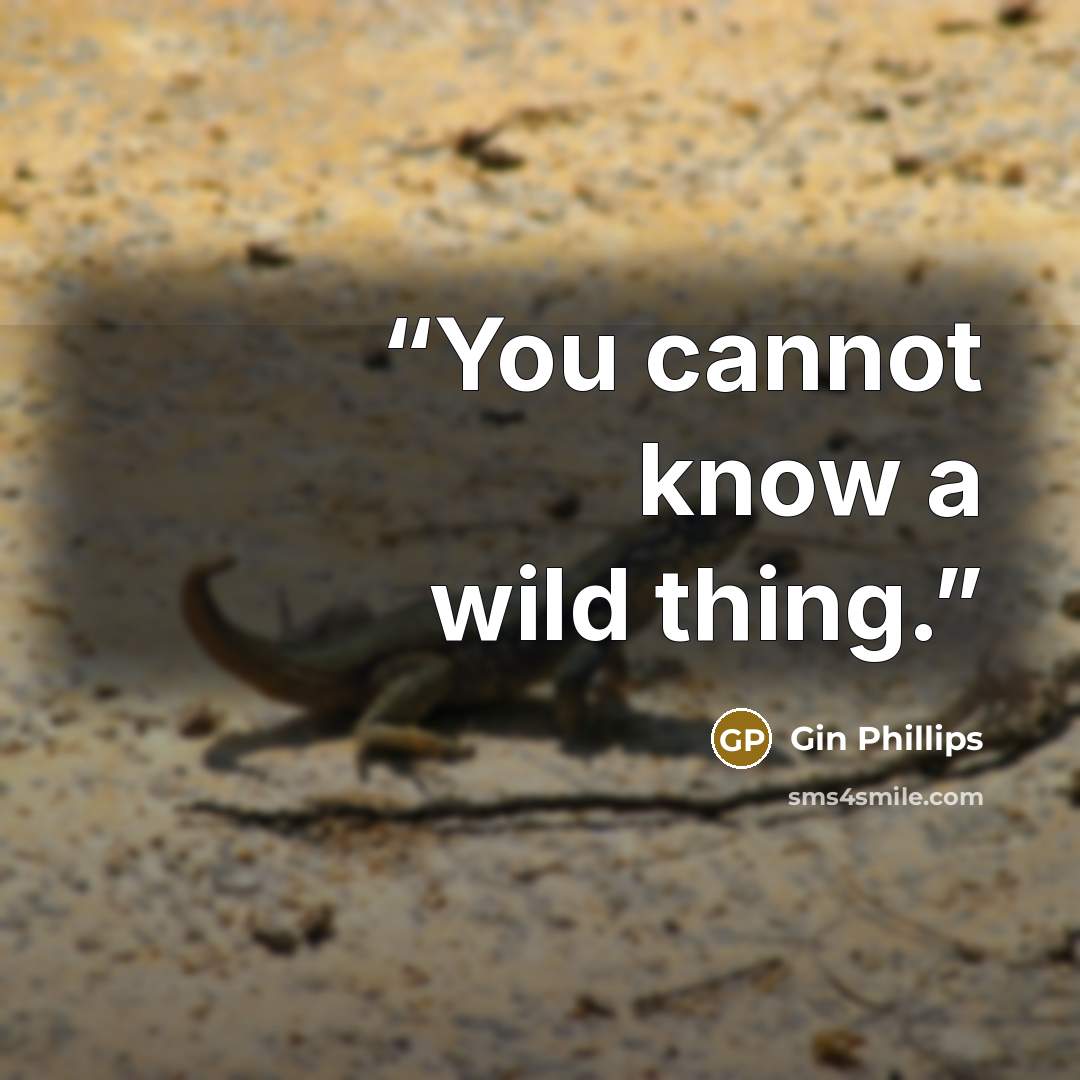 “You cannot know a wild thing.” quote by Gin Phillips