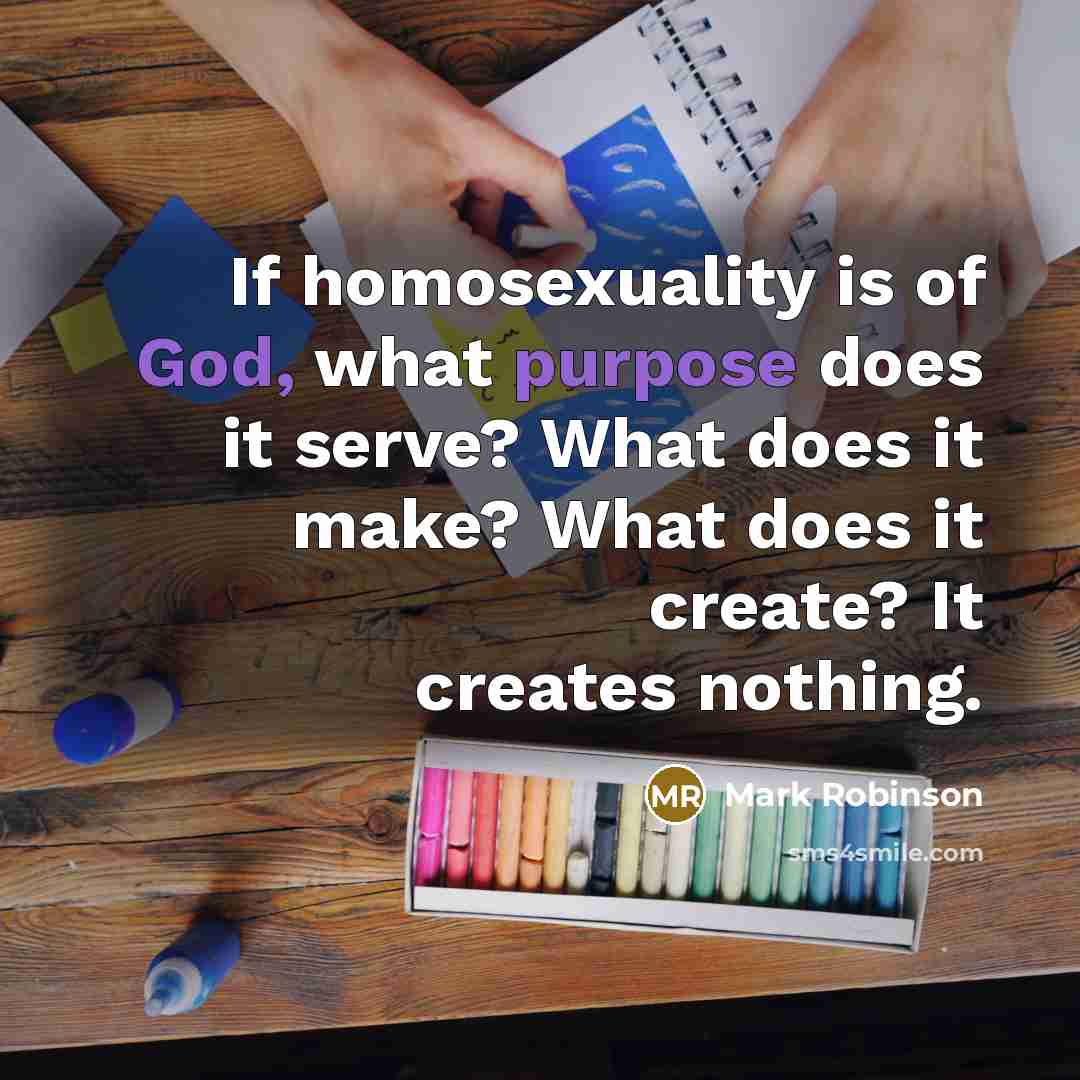 “If homosexuality is of God, what purpose does it serve? What does it make? What does it create? It creates nothing.” quote by Mark Robinson