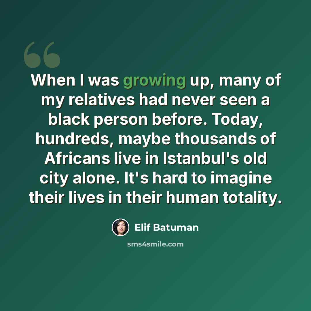“When I was growing up, many of my relatives had never seen a black person before. Today, hundreds, maybe thousands of Africans live in Istanbul's old city alone. It's hard to imagine their lives in their human totality.” quote by Elif Batuman