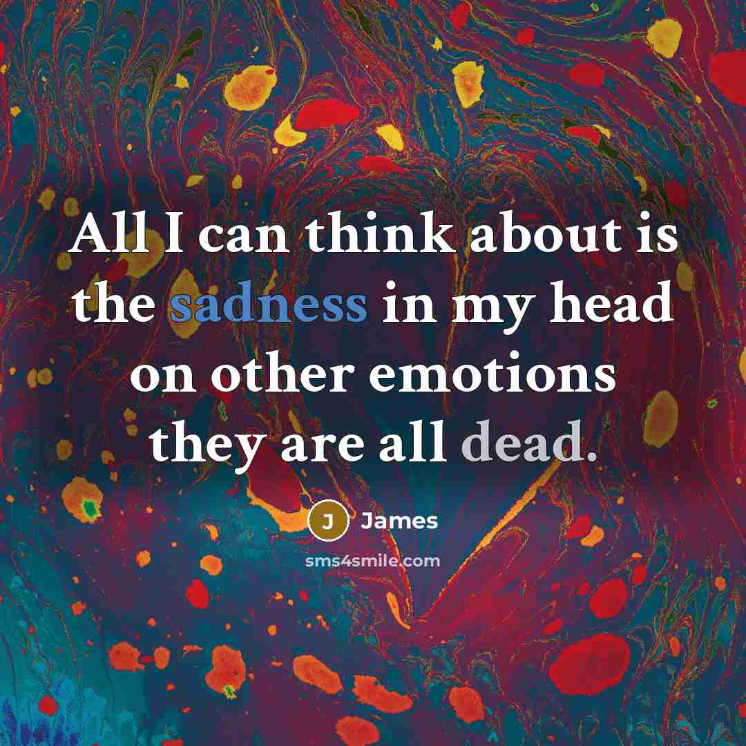 “All I can think about is the sadness in my head on other emotions they are all dead.” quote by James