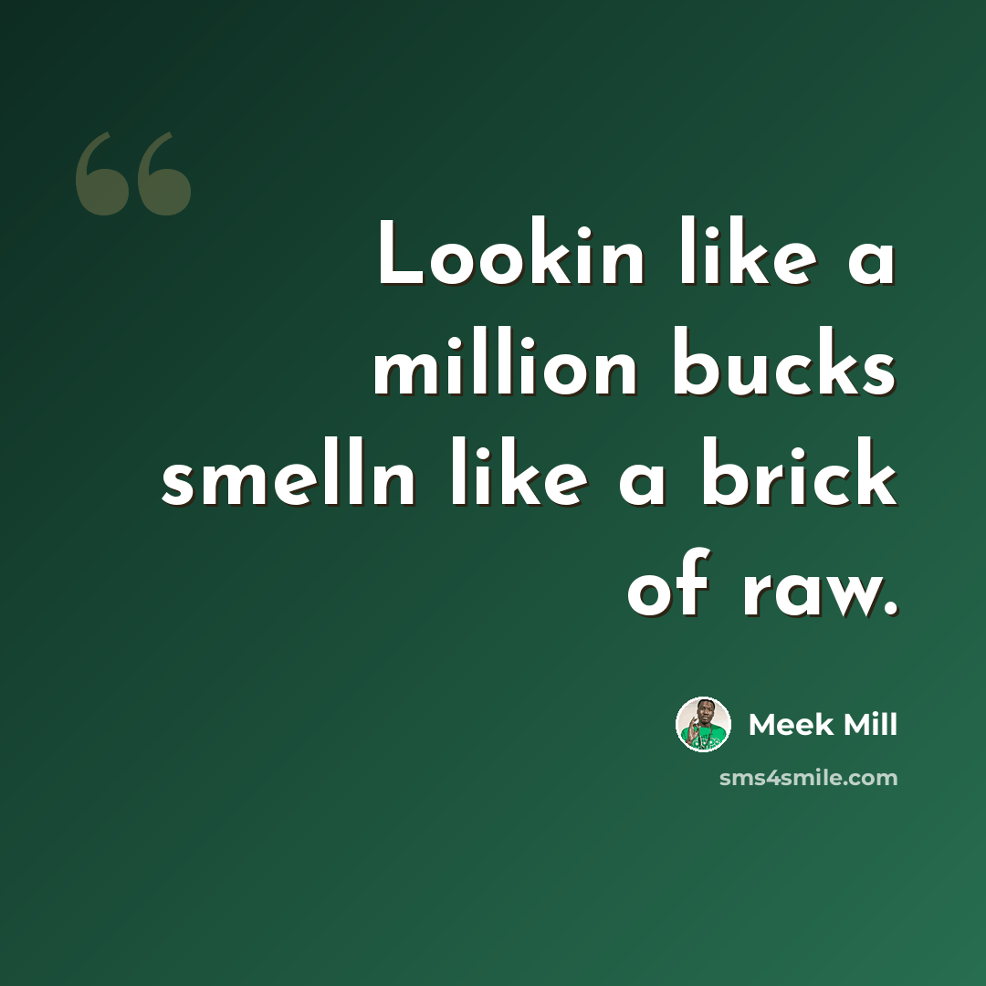 “Lookin like a million bucks smelln like a brick of raw.” quote by Meek Mill