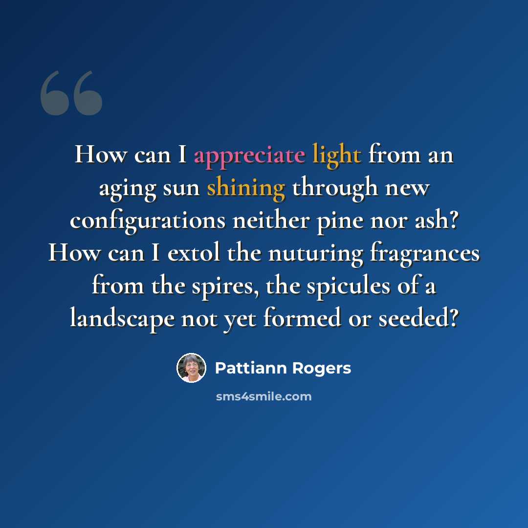 “How can I appreciate light from an aging sun shining through new configurations neither pine nor ash? How can I extol the nuturing fragrances from the spires, the spicules of a landscape not yet formed or seeded?” quote by Pattiann Rogers