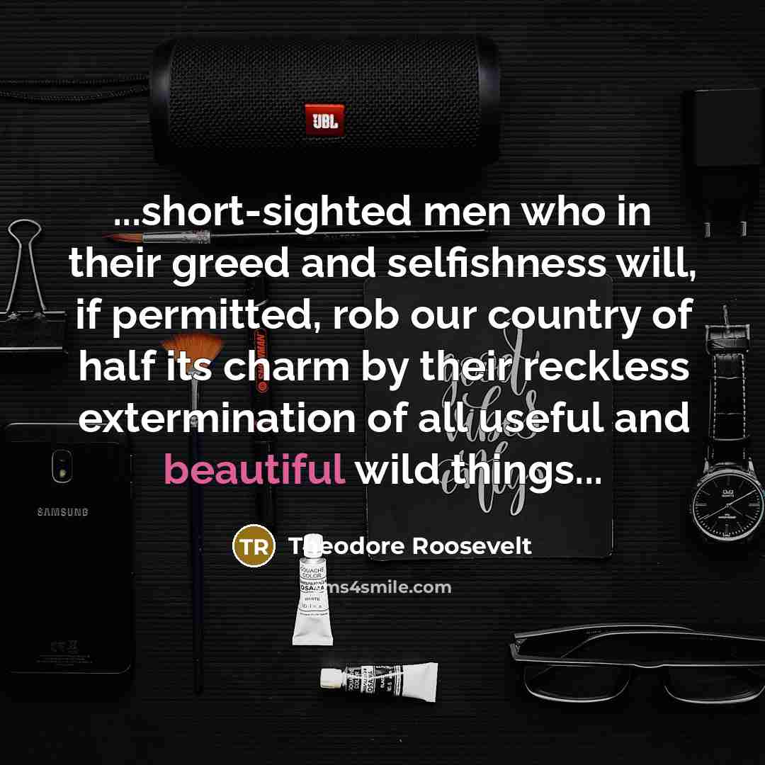 “...short-sighted men who in their greed and selfishness will, if permitted, rob our country of half its charm by their reckless extermination of all useful and beautiful wild things...” quote by Theodore Roosevelt