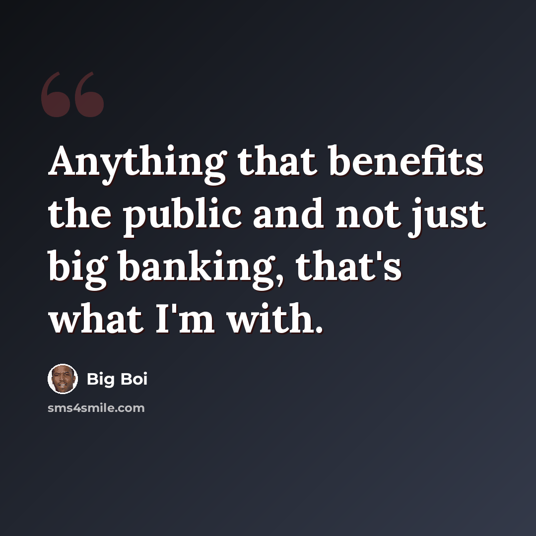 “Anything that benefits the public and not just big banking, that's what I'm with.” quote by Big Boi