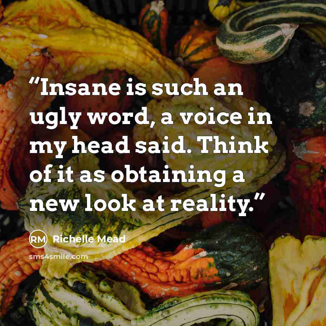 “Insane is such an ugly word, a voice in my head said. Think of it as obtaining a new look at reality.” quote by Richelle Mead
