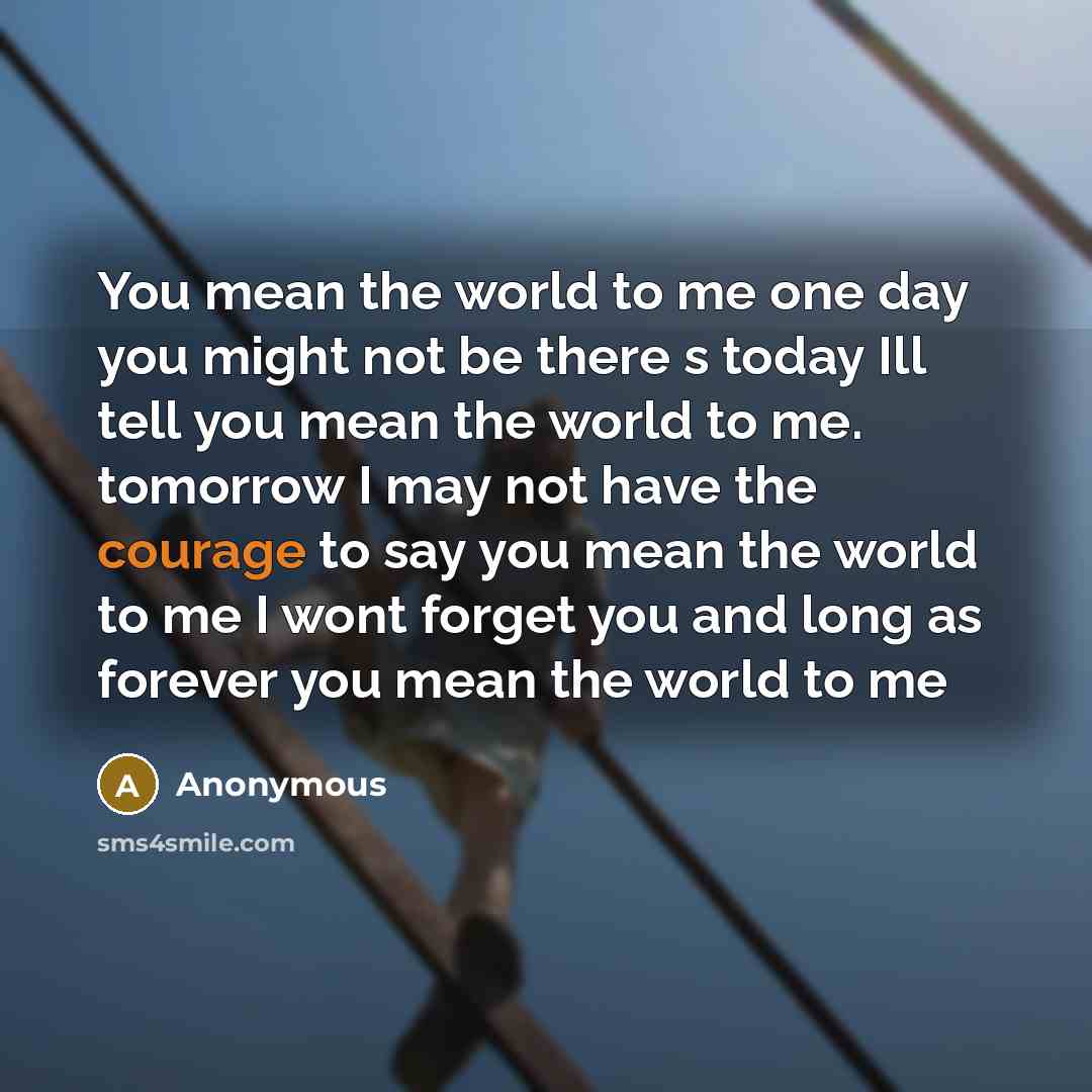 “You mean the world to me one day you might not be there s today Ill tell you mean the world to me. tomorrow I may not have the courage to say you mean the world to me I wont forget you and long as forever you mean the world to me” quote by Anonymous