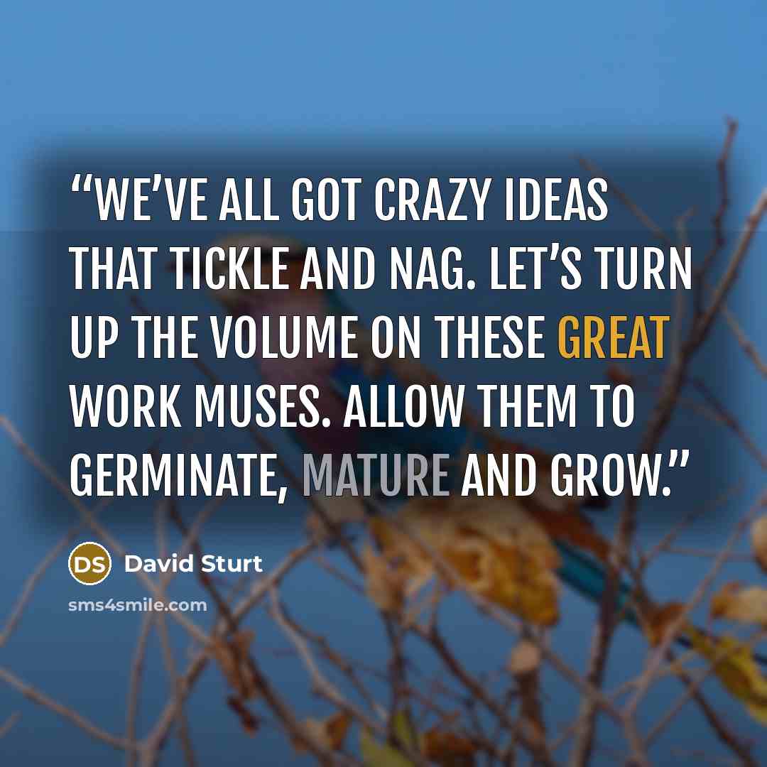 “We’ve all got crazy ideas that tickle and nag. Let’s turn up the volume on these great work muses. Allow them to germinate, mature and grow.” quote by David Sturt